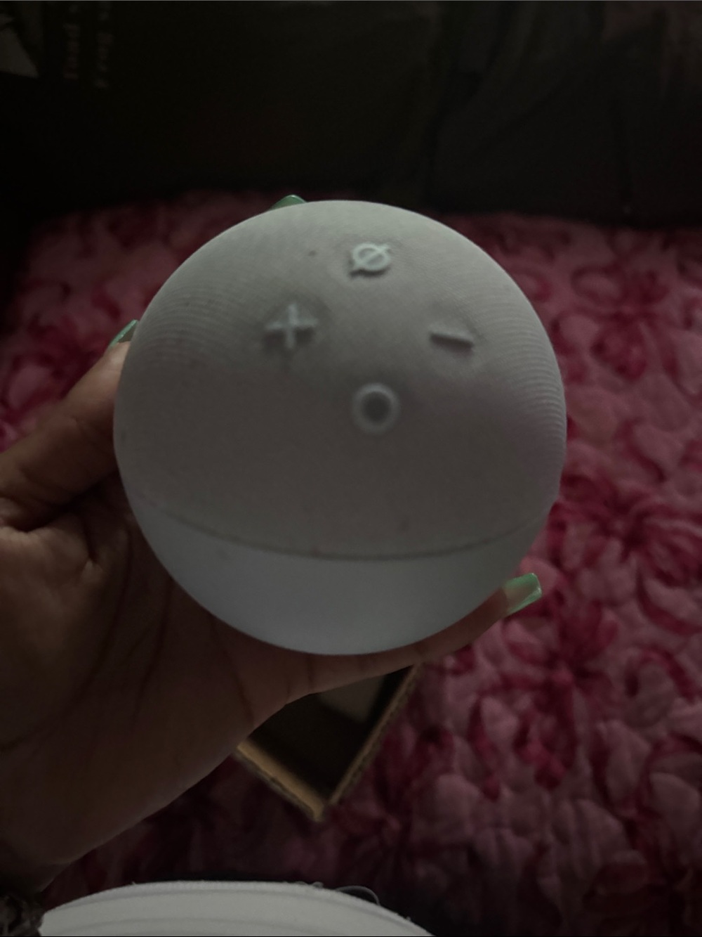 Amazon Echo Dot